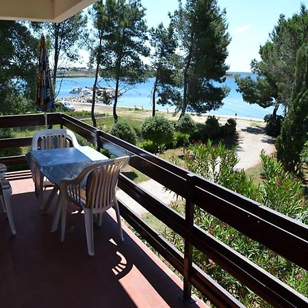 Apartments Kurta Privlaka  Zewnętrze zdjęcie